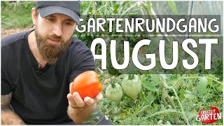 Gartenrundgang August  Tomaten Mais und schöne Sonnenblumen  Freizeit Garten [upl. by Nedyaj]