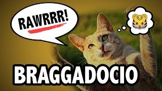 Learn GRE Vocabulary BRAGGADOCIO Meaning High Frequency Words with Pictures and Examples [upl. by Llerrahs342]