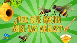 ¿POR QUÉ HACEN MIEL LAS ABEJAS  CURIOSIDADES FASCINANTES PARA NIÑOS [upl. by Almira]