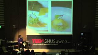 Molecular Gastronomy  how to make Lemon Foam Air [upl. by Derreg843]