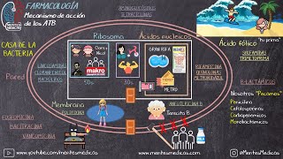 Antibióticos Mecanismo de Acción SÚPER FÁCIL MNEMOTECNIA  Mentes Médicas [upl. by Abbot]