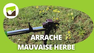 Comment enlever les mauvaises herbes sans effort avec un arrache mauvaise herbe manuel [upl. by Frankel]