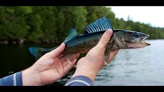 Rack amp Tackle Ep 4  Kipawa Lodge [upl. by Mike]