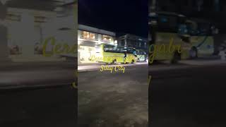 Ceres buses spotted [upl. by Miguelita445]