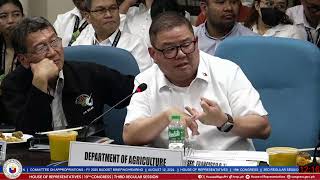 COMMITTEE ON APPROPRIATIONS  BUDGET BRIEFINGHEARINGS OF THE FY 2025 PROPOSED BUDGET [upl. by Attlee]