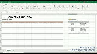 Validación de datos y formato condicional con Excel [upl. by Dodds]