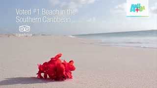 Eagle Beach Aruba The 1 Southern Caribbean Beach [upl. by Laohcin]