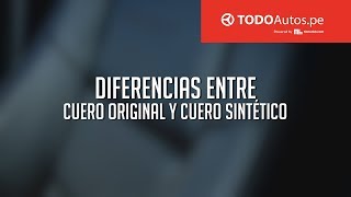 ¿Sabes las diferencias entre el Cuero Original y el Cuero Sintético ​​ TODOAutospe [upl. by Aninad387]