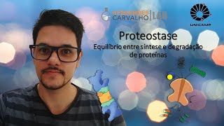 Proteostase equilíbrio entre síntese e degradação de proteínas [upl. by Hildegaard647]