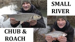 Roach amp Chub Fishing  Successful Small River Session  13119 Video100 [upl. by Erdman]