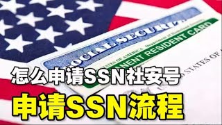 🔥🔥怎么申请SSN社会安全号码全攻略❗留学生，新移民，OPT，新生儿申请SSN流程❗ [upl. by Monahon]