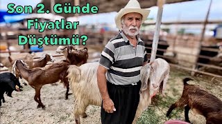 Kurbanlık Fiyatları 2023  Osmaniye Kadirli [upl. by Funk]