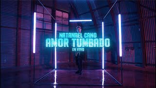 Natanael Cano  Amor Tumbado Official Video REACTION [upl. by Chi]