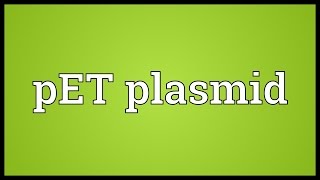 PET plasmid Meaning [upl. by Drofla]