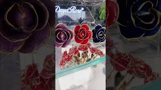 24K gold dipped rose6 color serieswholesale in stockalso can mix colors wholesalemothersdaygift [upl. by Eelanna]