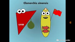 Clonorchis Opisthorchis amp Dicrocoelium Liver Fllukes المثقوبات الكبدية [upl. by Fabrice]