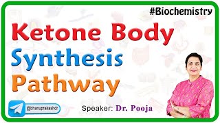 Ketone Body Synthesis Pathway  Ketogenesis  Medical Biochemistry [upl. by Ayomat29]