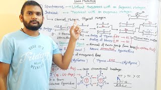 Induced MutationChemical amp Physical MutagenCSIR NETin Hindi [upl. by Karlens]