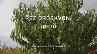 Řez broskvoní  letní řez 4 díl [upl. by Henryk]