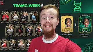 INSANE NEW STOICHKOV SBC BRAND NEW TOTW 6 AND NEW EVOLUTIONS [upl. by Nerta]