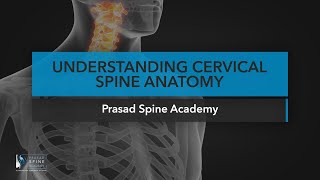 Understanding Cervical Spine Anatomy Chapter 1 FULL [upl. by Estas]