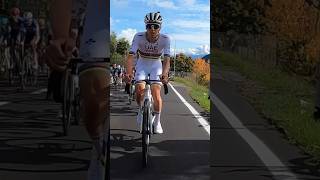 LOMBARDIE 😍 cycliste cyclisme roadbike roadcycling cyclis roadcycling cycling [upl. by Alisha]