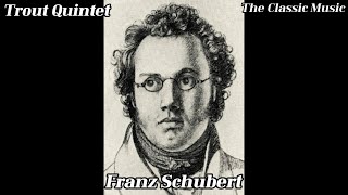 Trout Quintet  Franz Schubert [upl. by Akihsay]