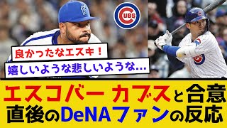 【電撃移籍】エスコバー カブスと合意直後のDeNAファンの反応 横浜denaベイスターズ プロ野球 三浦監督 バウアー 今永昇太 牧秀悟 エスコバー カブス シカゴ・カブス [upl. by Ardnalak798]