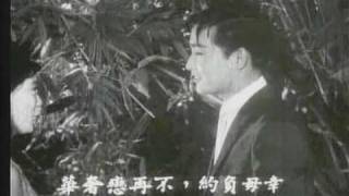 Connie Chan 陳寶珠呂奇 姑娘十八一朵花 選輯片段 1966 [upl. by Ike]