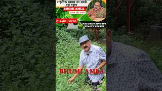 Bhumi Amla ke Chamatkari Fayde  Boost Your Health Naturally [upl. by Aldus]