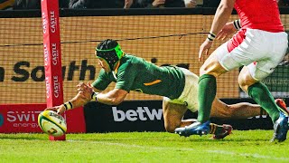 Le superbe essai de Cheslin Kolbe face au Pays de Galles [upl. by Hance]