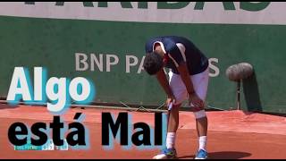 Nicolas Almagro Lesion y Llanto Fuerte en la Cancha contra Delpotro Rolland Garros 2017 [upl. by Yanrahs]