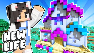 💜A NEW World Minecraft New Life SMP 1 [upl. by Eedrahc]