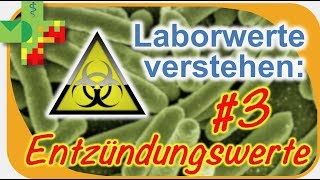 Laborwerte verstehen 3 Entzündungswerte [upl. by Deron]