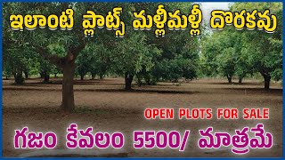 OPEN PLOTS FOR SALE  MYLAVARAM  VIJAYAWADA [upl. by Hcone973]