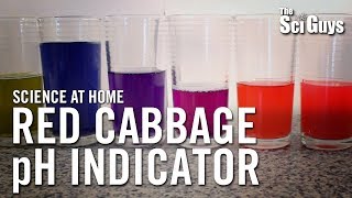 The Sci Guys Science at Home  SE2  EP4 Red Cabbage pH Indicator  Acid Base Indicator [upl. by Neenej]