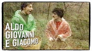 La raccolta funghi  Gli Svizzeri di Aldo Giovanni e Giacomo [upl. by Horlacher180]