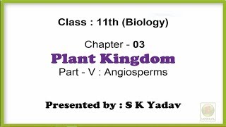 THE LIVING WORLD 02  Biodiversity and Taxonomy  Botany  Pure English  Class 11th NEET [upl. by Jarad476]