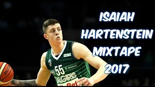 Isaiah Hartenstein Mixtape Highlights  NBA Draft Prospect 2017 [upl. by Eugene]