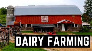 Dairy Farming in The Summer [upl. by Roots]