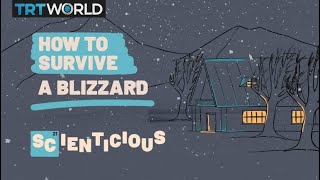 Surviving a blizzard  Scienticious – Episode 2 [upl. by Airdua859]