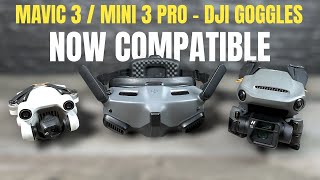 DJI Goggles 2  Integra Now Compatible With Mini 3 Pro amp Mavic 3 Series  How To Connect [upl. by Ruttger]