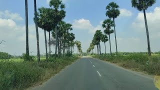 Nellore to Somasila Dam Journey  Travel Vlog  Somasila  Nellore Dist  Ep 1 [upl. by Wilen790]