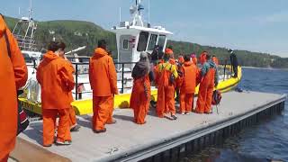 Whale Watching Trip Tadoussac May 2022 [upl. by Luckin]