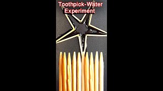 Water Toothpick Experiment IScience Experiment  Capillary action of water I shorts [upl. by Longmire]