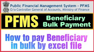 PFMS Beneficiary Bulk Payment live Video ll How to pay beneficiary in bulk by excel file ll [upl. by Moore]