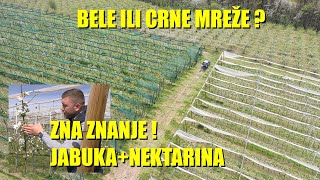 VOĆARSTVO  BELE ILI CRNE protivgradne mreže  TOTALNE PROMENE u nektarini  ZAŠTITA [upl. by Deerdre]