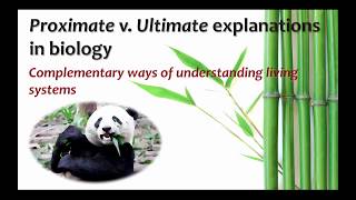 Proximate Versus Ultimate Explanations in Biology [upl. by Oiciruam]