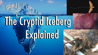 The REAL Cryptid Iceberg Explained [upl. by Latsryc]