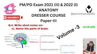 Part of BrainIII Midbrain part Corpora quadrigemina Cerebral peduncle Cerebral aqueduct exam [upl. by Eniamret]